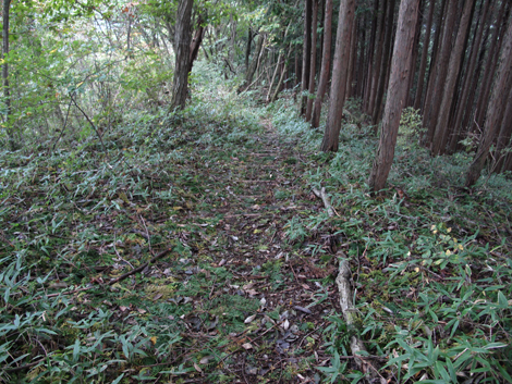 20181009hike (206)